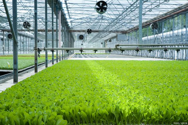 智慧農(nóng)場(chǎng)小程序開發(fā) 引領(lǐng)農(nóng)業(yè)新時(shí)代的創(chuàng)新與變革