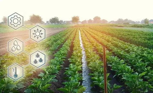 數(shù)字鄉(xiāng)村直通車 全國(guó)政策盤(pán)點(diǎn)與農(nóng)業(yè)種植技術(shù)開(kāi)發(fā)新機(jī)遇