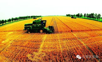 國(guó)家現(xiàn)代農(nóng)業(yè)示范區(qū) 農(nóng)民與種植技術(shù)開(kāi)發(fā)的共贏新篇章