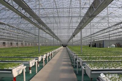 科技賦能，田園生輝 肥東現(xiàn)代農(nóng)業(yè)示范園即將盛大開(kāi)園