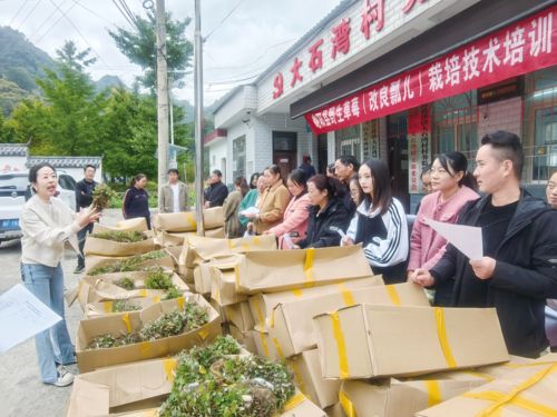 小漿果孕育大產(chǎn)業(yè) 以農(nóng)業(yè)種植技術(shù)開發(fā)驅(qū)動(dòng)鄉(xiāng)村經(jīng)濟(jì)新增長(zhǎng)